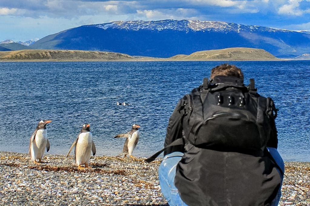 Tierra del Fuego ofrece múltiples atractivos, desde la óptica científica, a lo largo y ancho de su territorio.