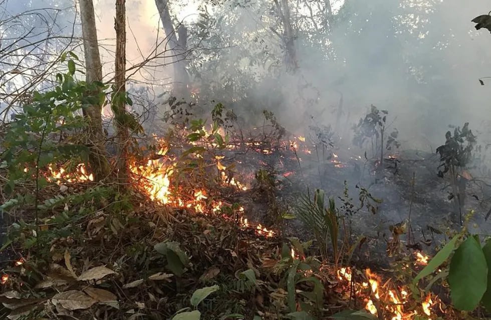 Las llamas continúan devorando la selva amazónica en medio de una creciente indignación popular (INPE).