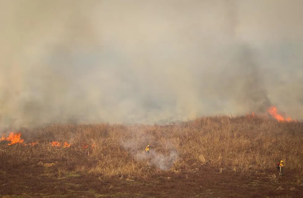 Incendios en el Delta del Paraná.