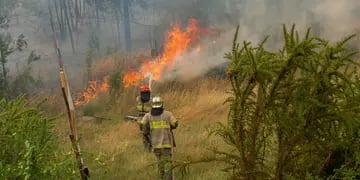 Chile confirma 2 nuevos fallecidos en incendios y balance asciende a 15
