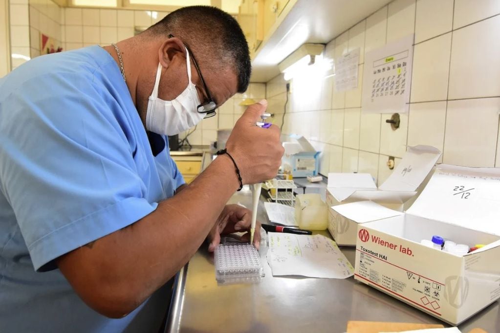 Desde el Ministerio aclararon que hasta ahora "no se puede determinar" el origen de los casos de hepatitis aguda registrados. (Foto / Los Andes)