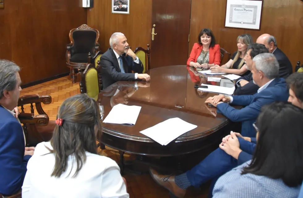 El exgobernador y senador nacional (mc) Walter Barrionuevo en la entrevista con legisladores que evaluaron su pliego para ser designado presidente de la Auditoría General de la Provincia.