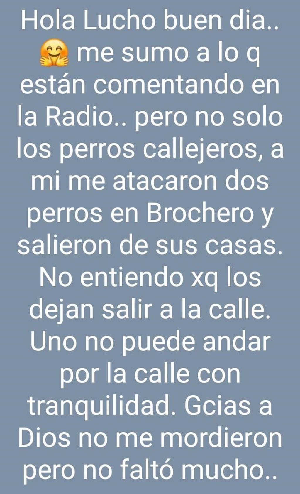 Problema de los perros de la calle