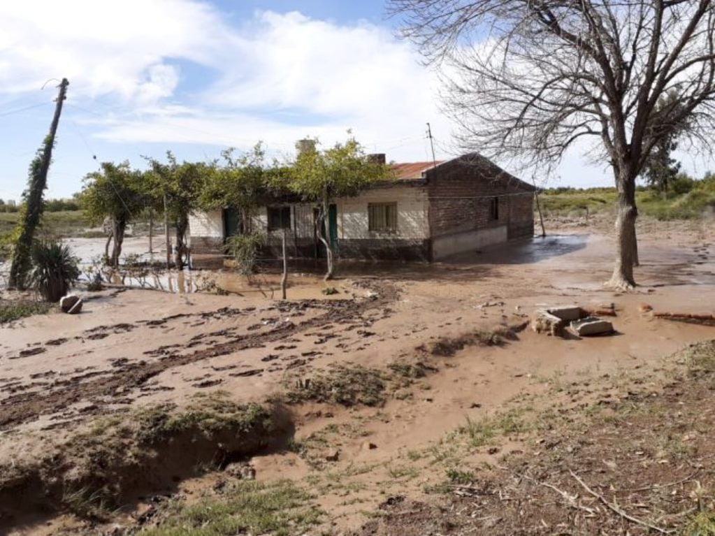 La tormenta del 20 de abril provocó inundaciones en las casas y mortandad de animales. 