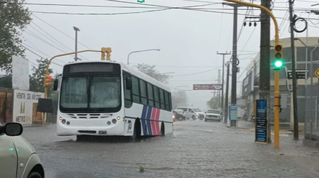 Las consecuencias de las fuertes lluvias en San Luis.