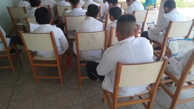 "Una maestra trató de "muertos de hambre" a alumnos que rompieron un plantero". (Imagen ilustrativa)