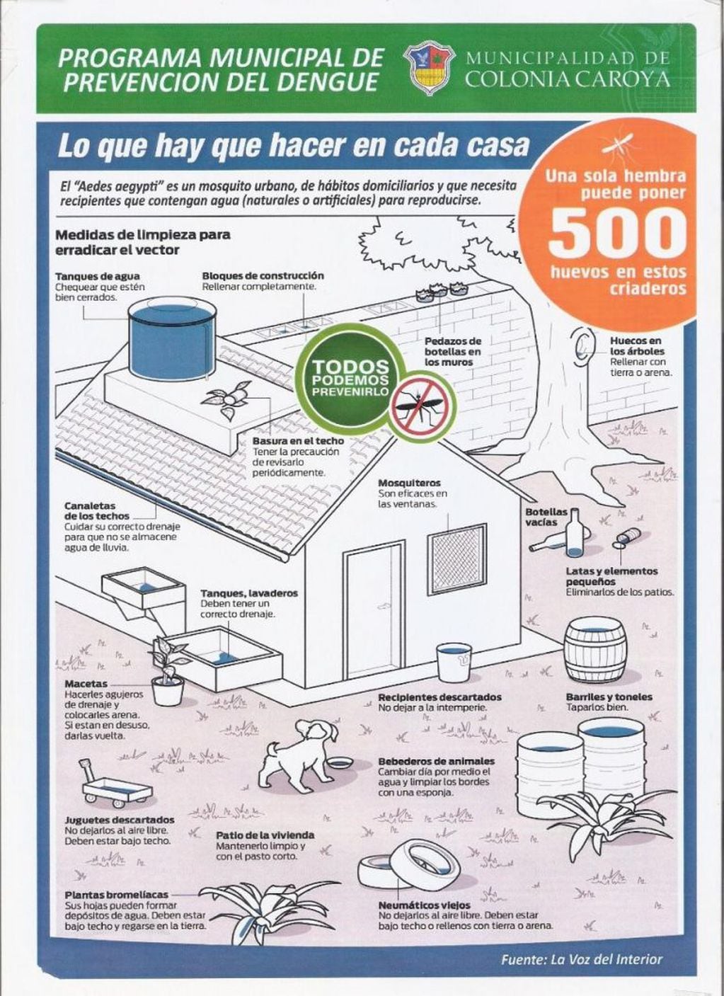 Prevención del dengue en Colonia Caroya 2020