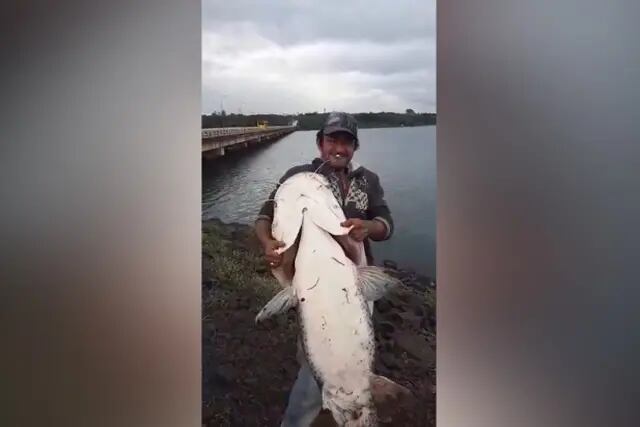 Posadas: pescaron un surubí de 30 kilos en Villa Cabello