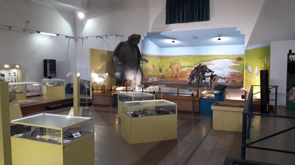 Museo Municipal de Ciencias Naturales Darwin de Coronel Rosales