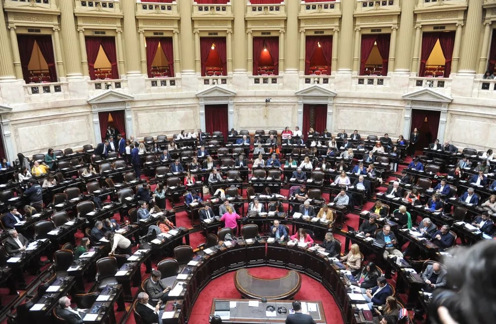 La Cámara de Diputados sesionará con un temario consensuado (Foto: Federico López Claro)
