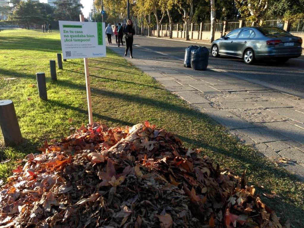Campaña sobre residuos voluminosos en Rosario