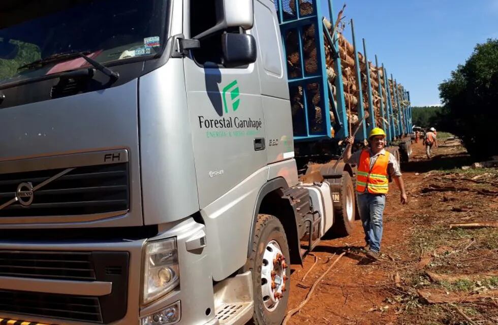 Habilitaron la circulación de bitrenes en Corrientes