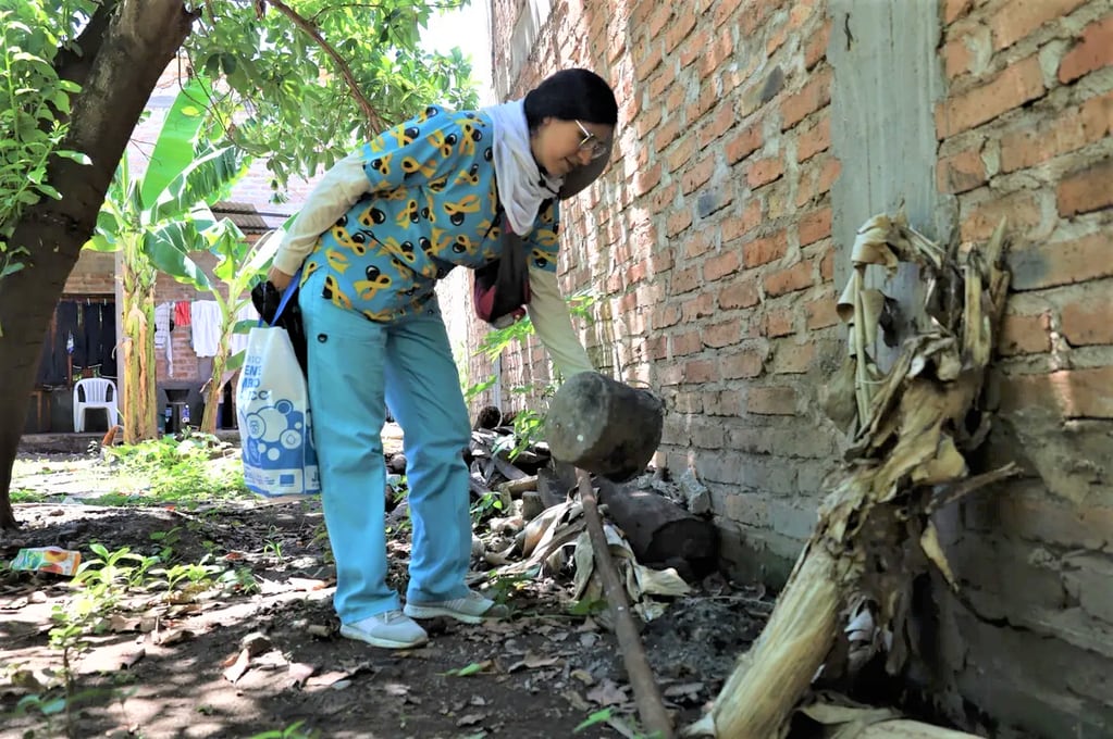 La lucha contra la propagación del dengue   en Jujuy se hace en el terreno, con personal de Salud recorriendo casa por casa.