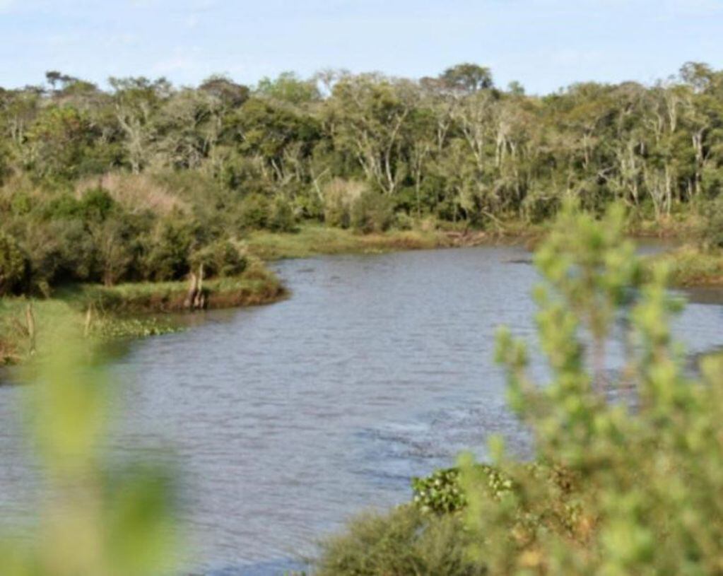 La reserva natural Urutaú en manos de Yacyretá con manejo en colaboración con la Fundación Temaikén.