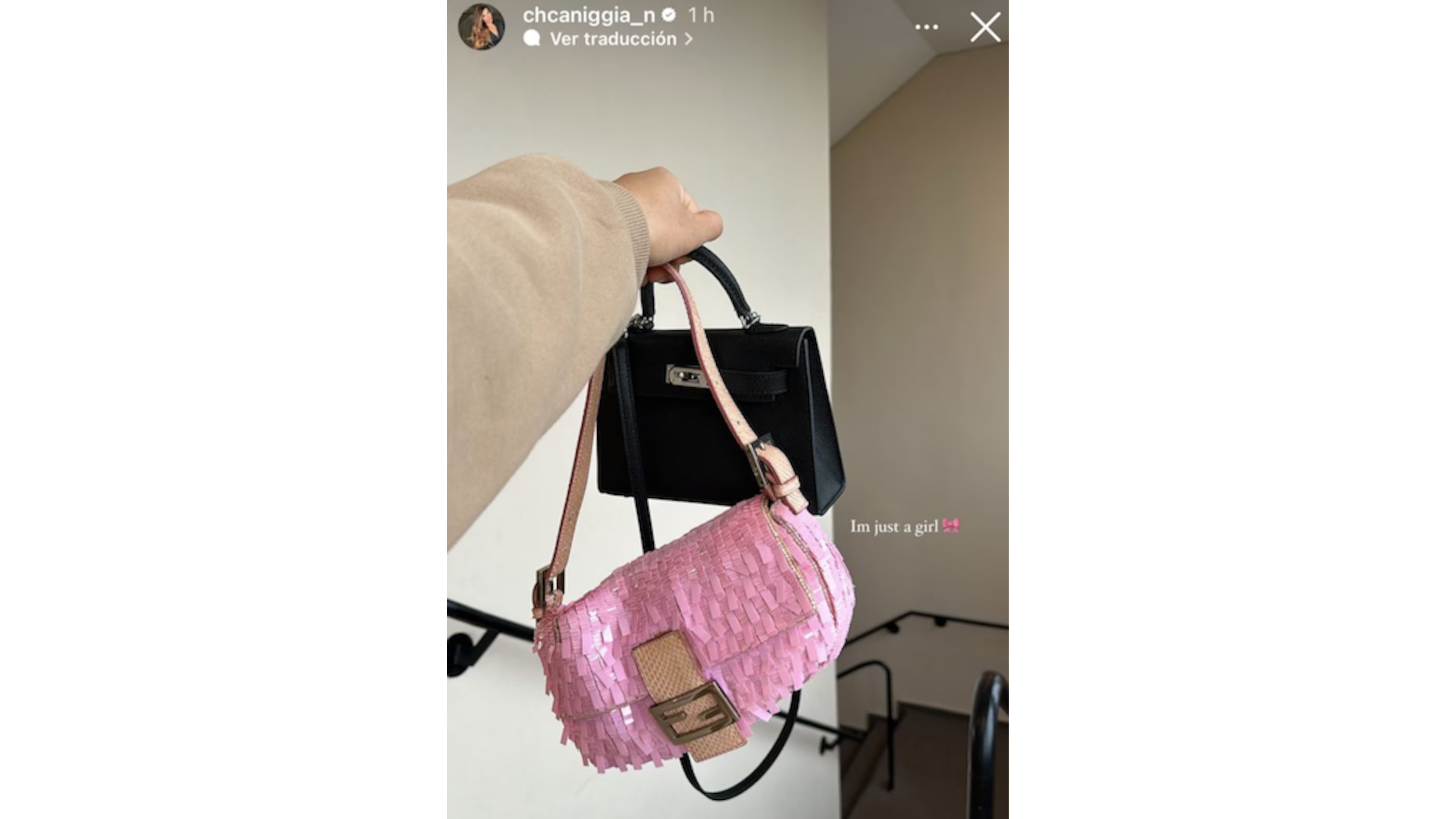 Las carteras de lujo de Charlotte Caniggia.