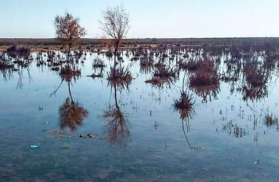 Según los puesteros, el agua que ingresa de Mendoza inunda los campos por falta de canalización (El Diario)