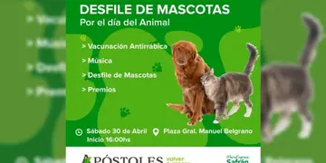 Por el Día del Animal, organizan desfile de mascotas en Apóstoles