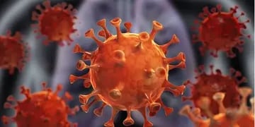 Seis nuevos casos de coronavirus en Pérez