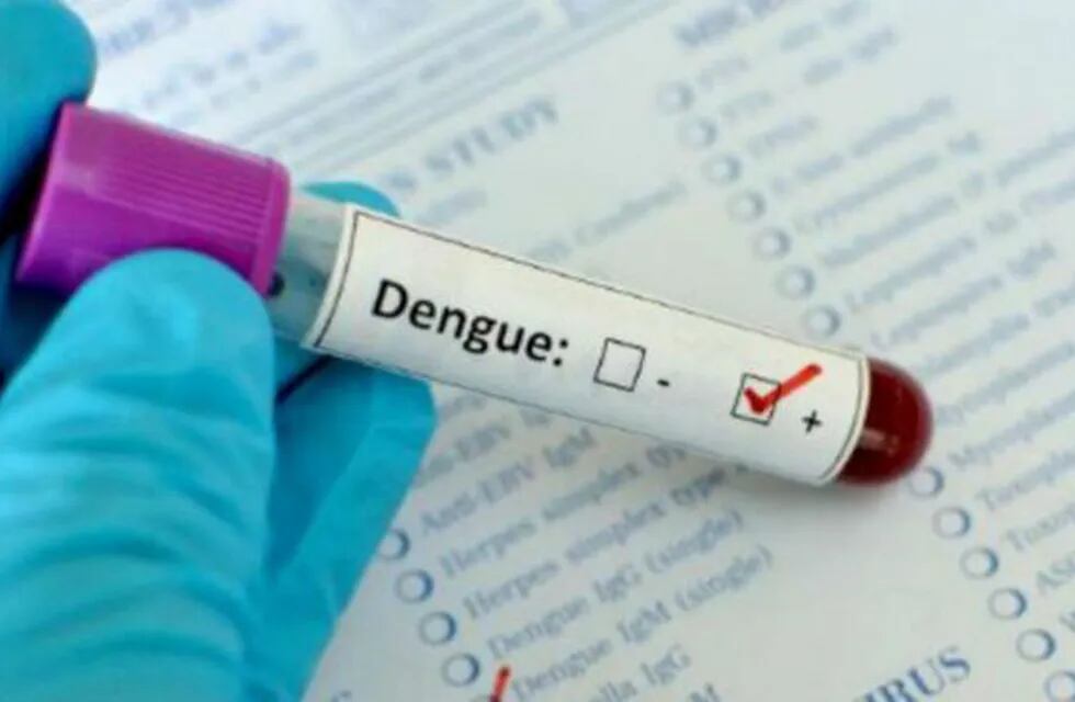 Preocupante incremento de los casos de dengue en el Chaco. (Web).