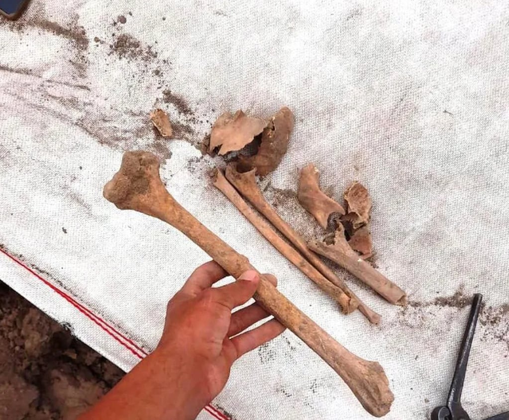 Los huesos largos guardados en la vasija en Santiago del Estero.