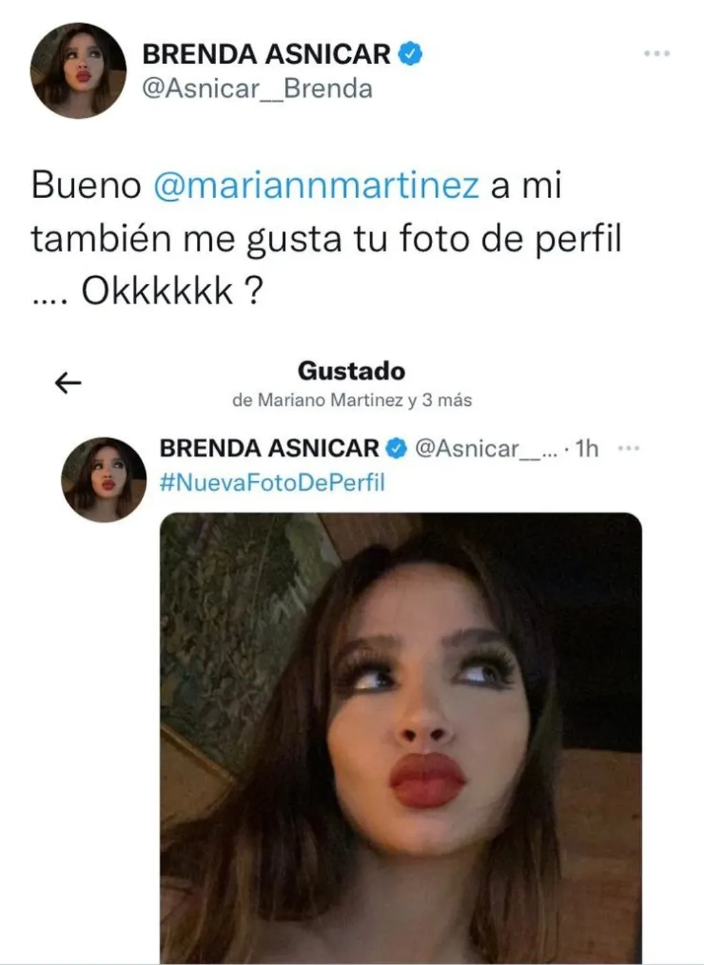 El picante tweet de Brenda Asnicar sobre Mariano Martinez