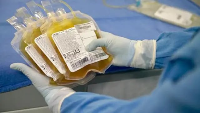 Harán una colecta de plasma de convalecientes del COVID-19 en el Hospital Samic de Eldorado