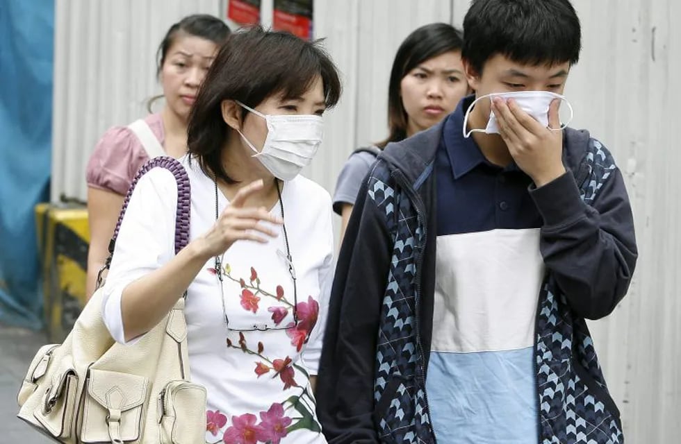 El año que viene podría haber una pandemia de gripe. (EFE)
