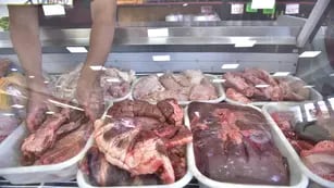 Intoxicación por carne en mal estado