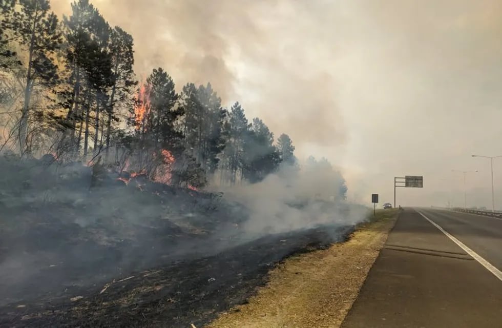 Nuevo incendio forestal en Concordia.