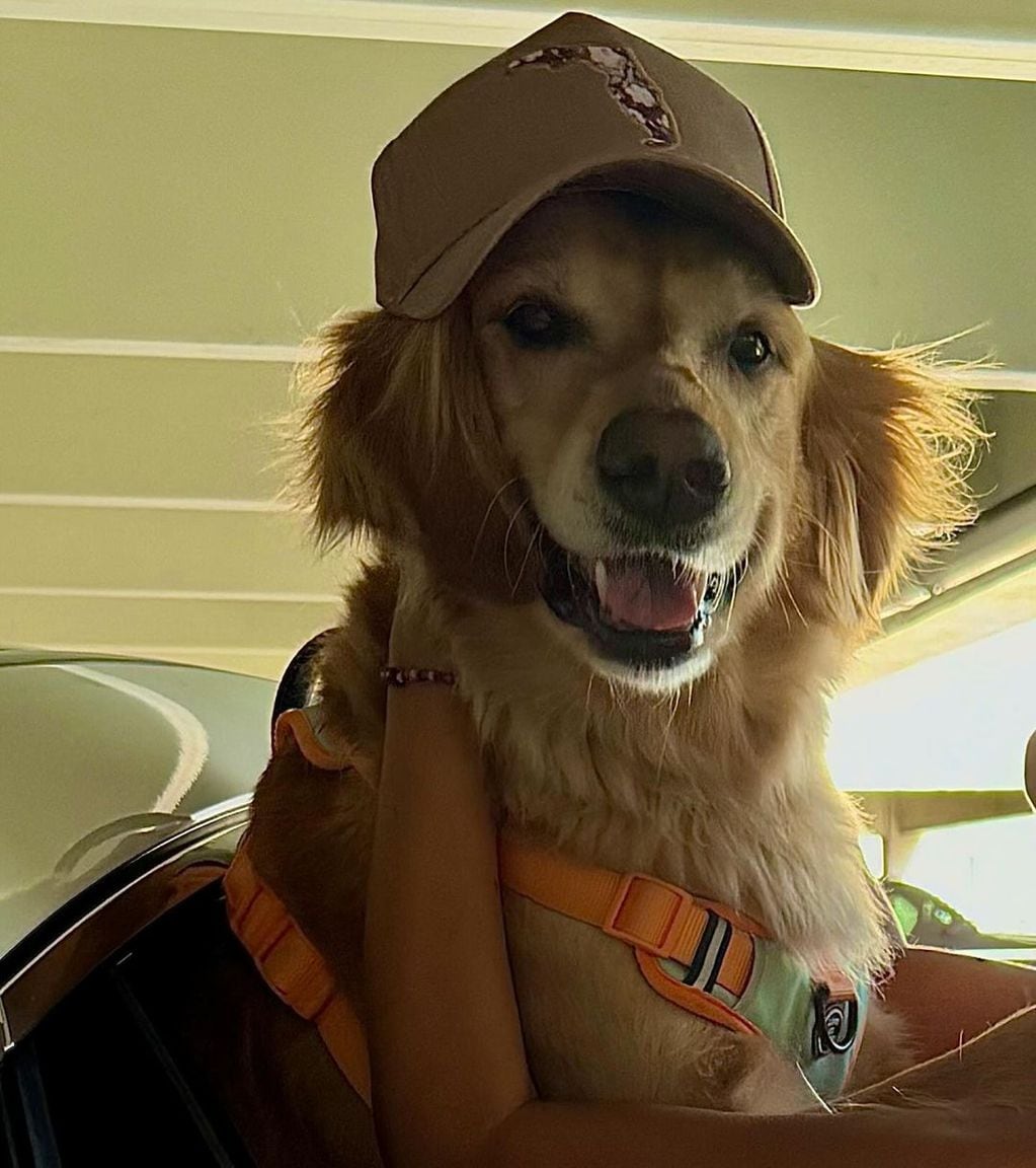 El can que acompaña a Loly Antoniale en Miami.