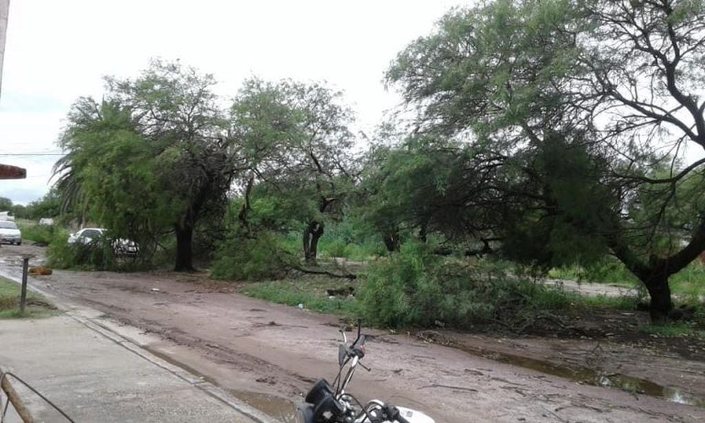 Localidades afectadas por un tornado en Santiago del Estero.