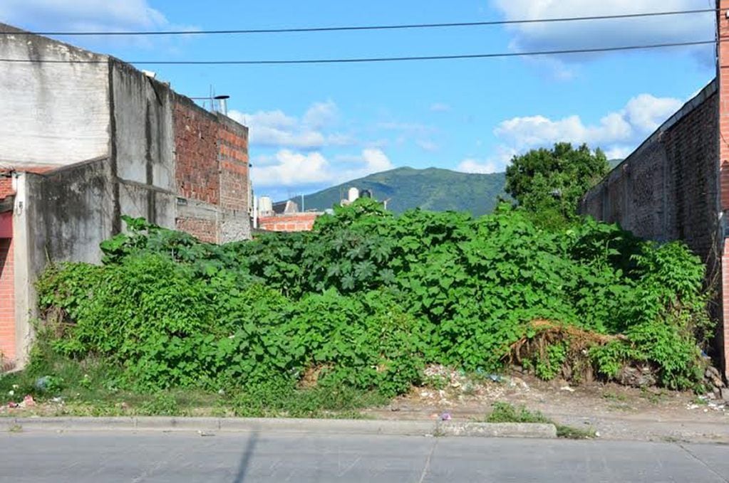 El Concejo Deliberante de San Salvador de Jujuy autorizó al municipio a desmalezar terrenos baldíos y cobrar el servicio al titular de la propiedad, que además deberá pagar una multa.