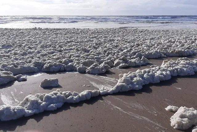 Las playas de Punta Mogotes amanecieron llenas de espuma por un fenómeno natural