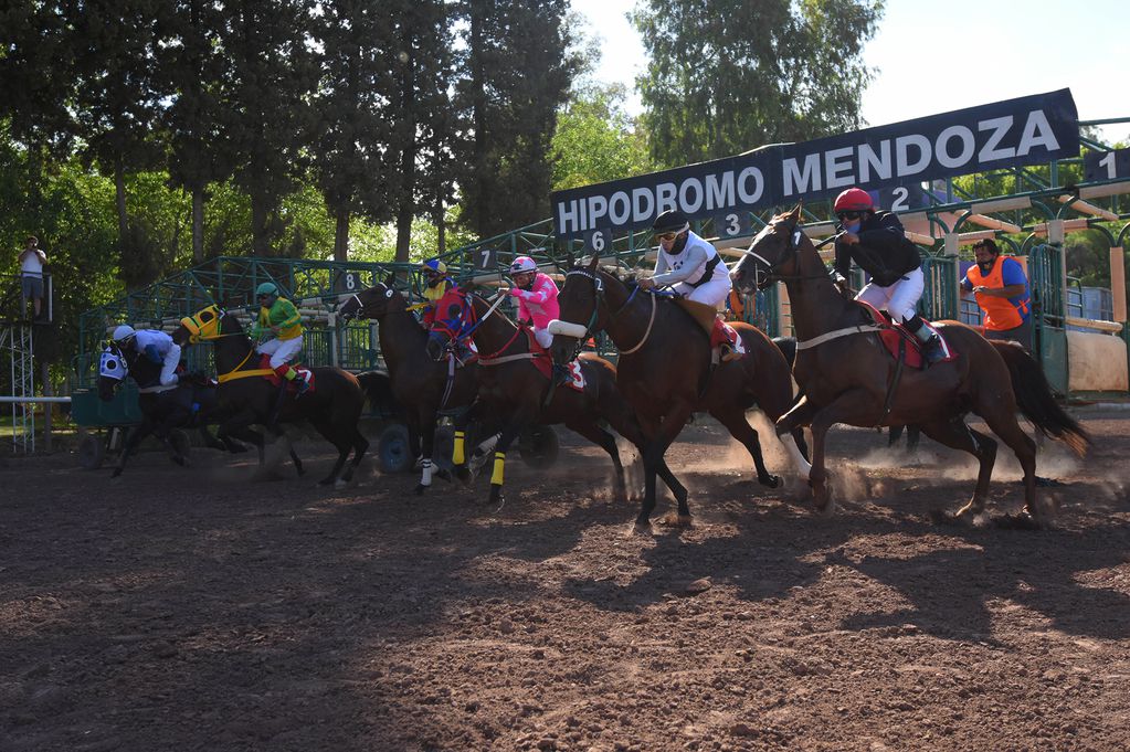 Volvieron las carreras al Hipódromo de Mendoza, con un marcado protocolo de distanciamiento.