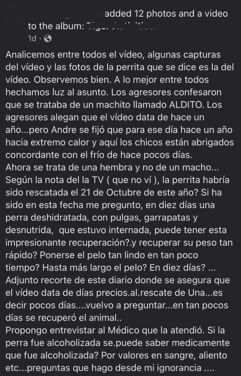 Las dudas alrededor de "Uma", la perra que fue obligada a tomar alcohol.