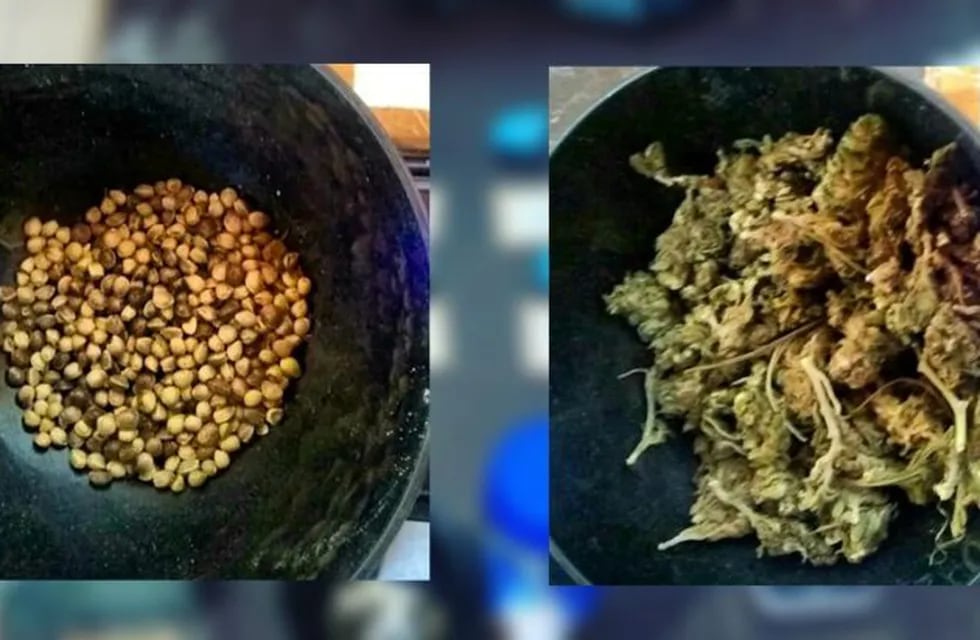 Dos jóvenes fueron demorados tras transportar semillas y envoltorios de marihuana.