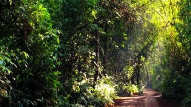 Puerto Iguazú: investigan el deceso de un joven Mbya