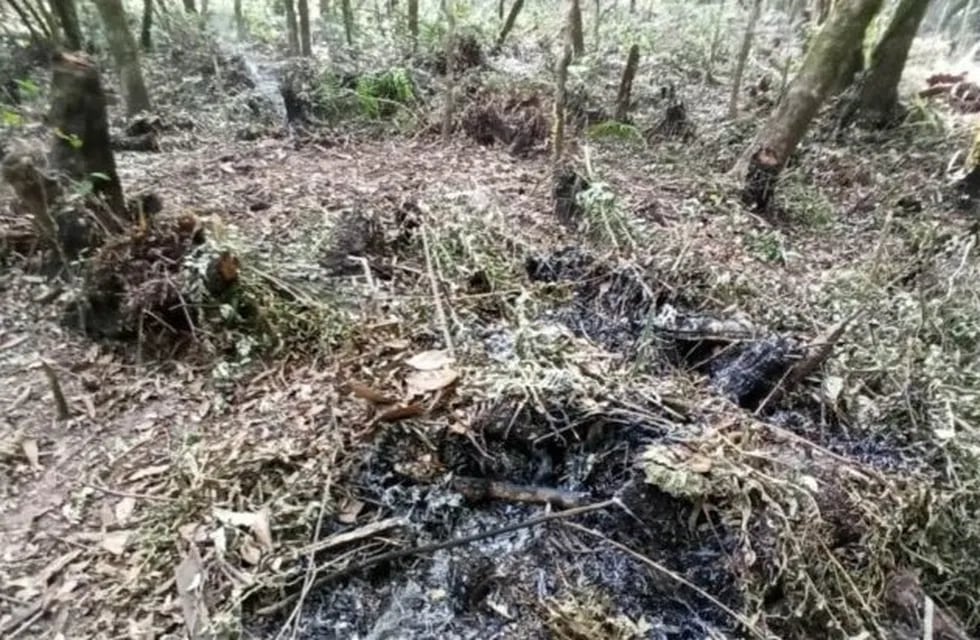 Los usurpadores pretendieron limpiar el terreno y provocaron incendios.