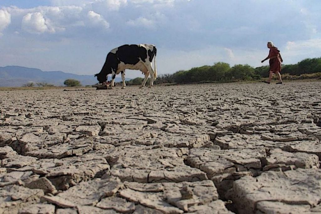 En Argentina la sequía afectó a varias provincias este año.