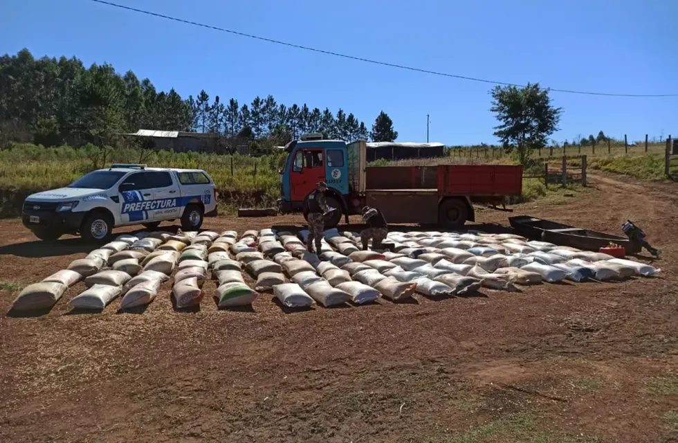 Nuevo golpe al tráfico de cereales ilegales en El Soberbio.