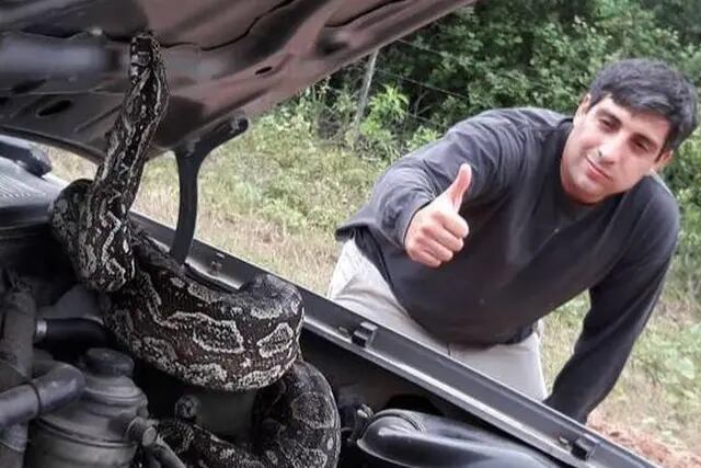 Un intendente salteño encontró una serpiente bajo el capó de su auto