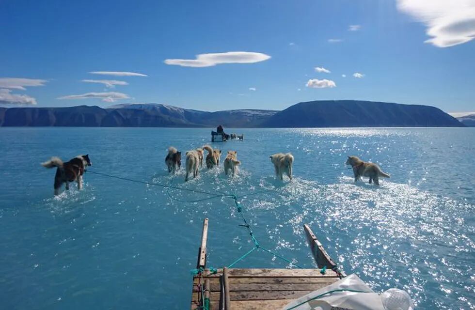 A June 13, 2019 image photographed by Steffen Olsen of the Centre for Ocean and Ice at the Danish Meteoroligical Institute shows sled dogs wading through standing water on the sea ice during an expedition in North Western Greenland. - The ice in the area forms pretty reliably every winter and is very thick which means that there are relatively few fractures for meltwater to drain through. Last week saw the onset of very warm conditions in Greenland\