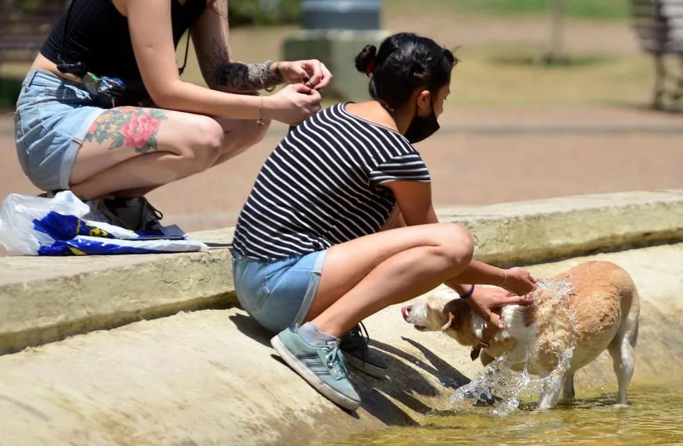 En un día de calor, una chica refresca a su cachorro en la fuente del Paseo Sobremonte de la ciudad de Córdoba. (José Hernández)