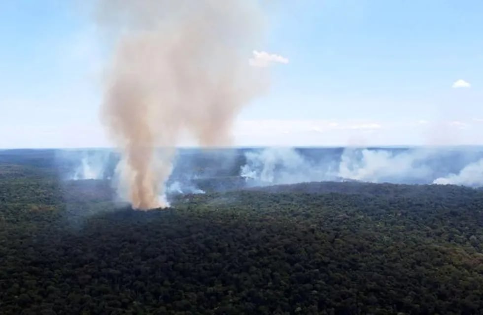 Incendios en Misiones: más de 250 hectáreas de la Reserva Natural Guaraní arrasadas por fuegos iniciados por cazadores furtivos.