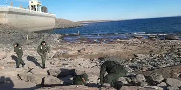 Gendarmes y paleontólogos encontraron nuevos restos fósiles de dinosaurio en Neuquén