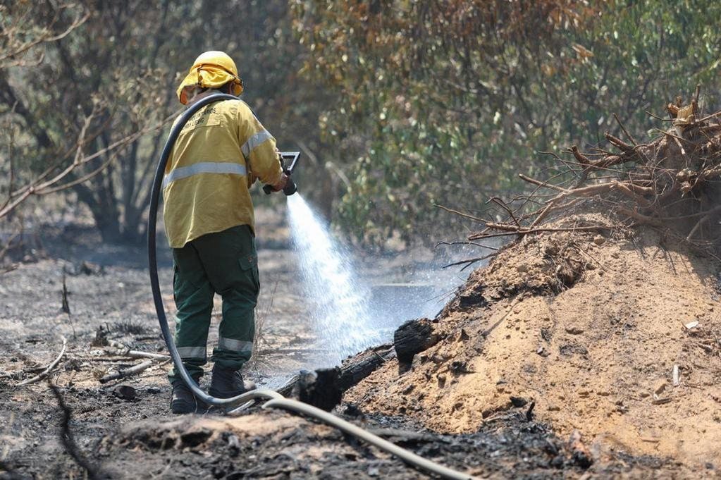 Bombero luchando contra los incendios en Corrientes, una de las provincias más afectadas por los incendios forestales. 