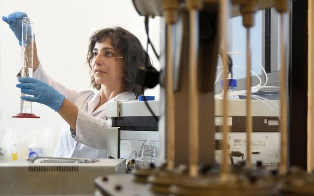 María Laura Sbaraglini es Licenciada en Bioquímica.