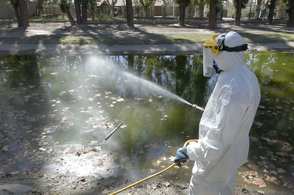 Personal de Zoonosis de Guaymallén desinfectaron para evitar la propagación del mosquito Dengue.
