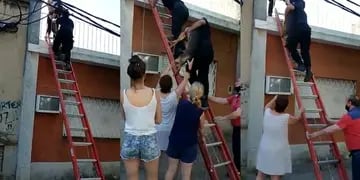 Rescataron a un perro abandonado en una terraza