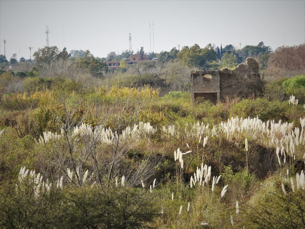 La Reserva Natural San Martín posee 114 hectáreas.